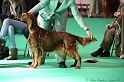 Crufts2011 042